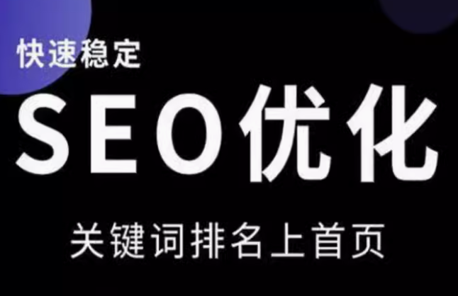 专业网站 SEO 优化 稳提快速排名